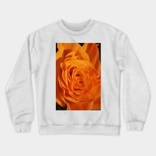 Orange Rose Closeup Crewneck Sweatshirt